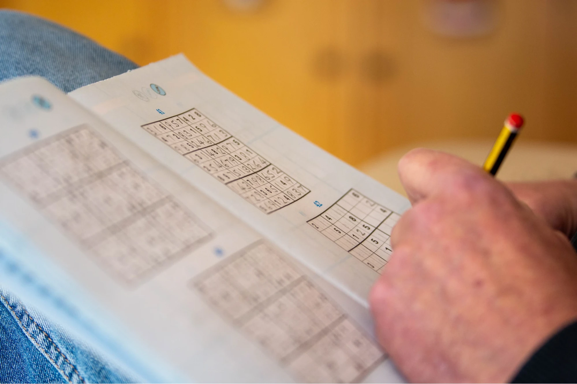 Sudoku Grid